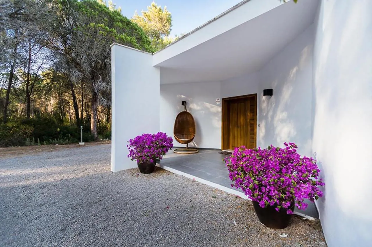 Peaceful Villa In Santa Gertrudis Santa Gertrudis  스페인